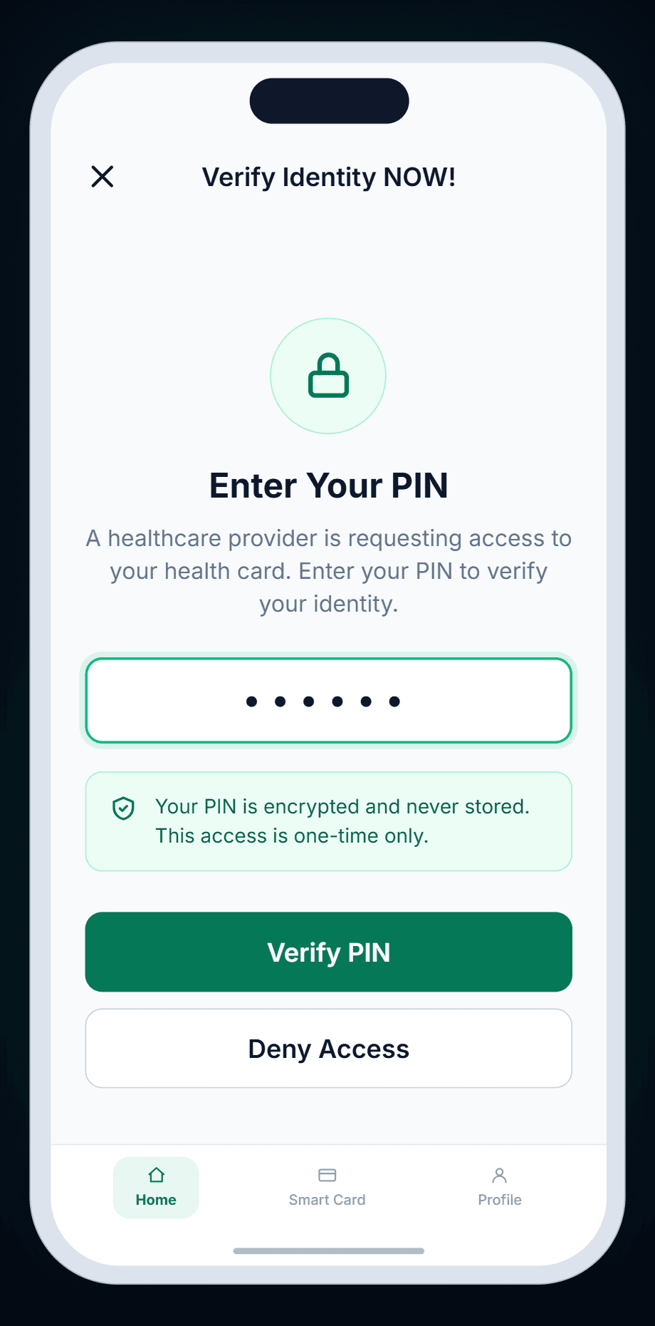 Patient's Verify Identity screen with the PIN field